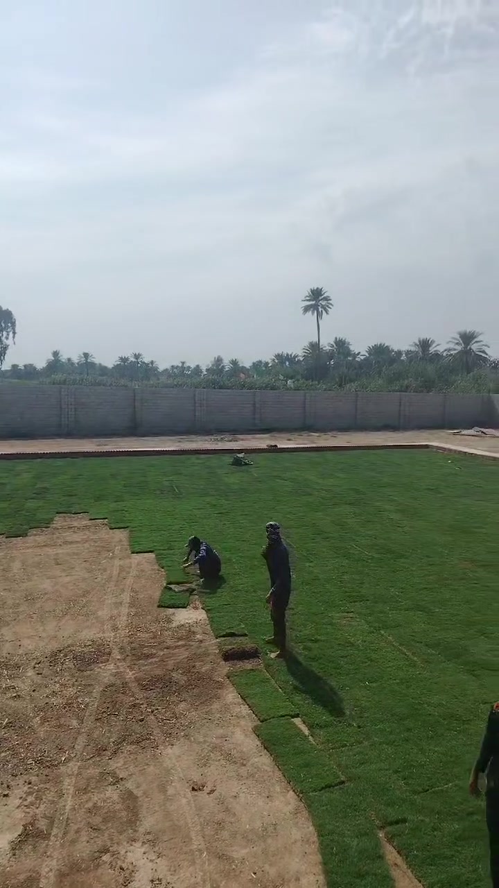 تنصيب مرشات • تقطير • ثيل طبيعي