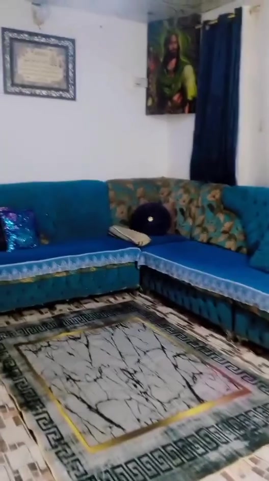 نص تخم تسگام نضافته 90بلميه كلشي مابي سعره ب250 وبي مجال قليل
