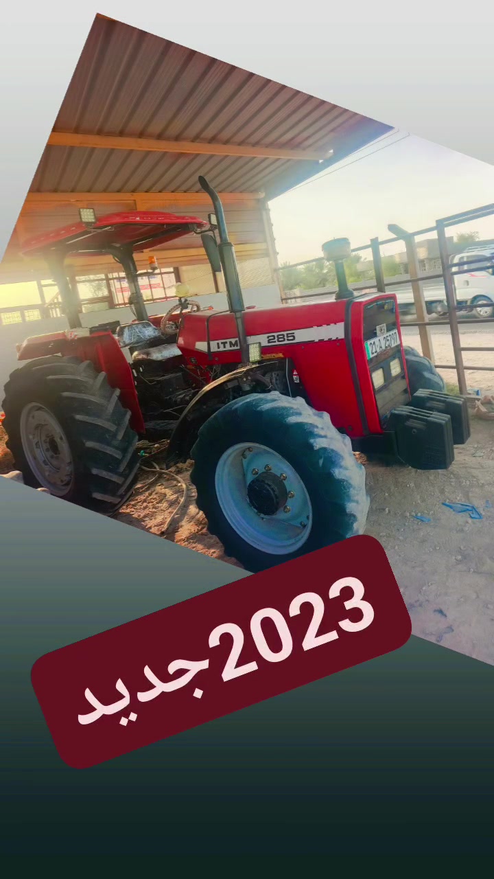 شاتوله • ٢٠٢٥ • حجم ٢٤
