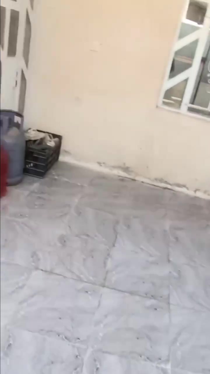 السلام عليكم ورحمة الله بيت للبيع المدائن سلمان باك منطقة حي العروبة منطقة مخدومه وقريبه من كلشي 
 خلف اسواق سبلاش قرب اسواق كنوش ٣ غرف والبيت كامل مكمل، السق صب كونكريت 
البيت ناصي باية عن الشارع ولا ياثر على البيت ابدا وكذلك البيت نهاية الفرع مزدودة واجهية ٧ ونص نزال ٢٠ 
مستعجلين على البيع 
السعر ٦٠ وبيه مجال  للاستفسار الاتصال على الرقم *********** ابو احمد علما البيت زراعي سند ٢٥
