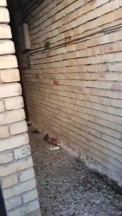 🏠 الدار للبيع [المساحه١٠٠ متر]     [السعر مناسب]

📍 الموقع: [بغداد الحريه الدور شارع ابو حطاب قرب مضيف ابو الفضل]

🏡 مساحة البناء: [١٠٠ ] متر واجهة  ٥ متر  نزال ٢٠ متر

🏢 عدد الطوابق: [طابقين]

🛏️ يحتوي على مدخلين: [استقبال وصاله ومطبخ ومنور و٣غرف نوم و ٣ صحيات وسطحين ]

📄 نوع السند: [طابو صرف]

الدار بحالة [جيدة] ومناسبة للسكن.وسعره مناسب بسبب بيع مستعجل

ملاحضه [بناء2022]

📞 للتفاصيل والتواصل صاحب الدار[***********]

أو مراسلة واتساب
