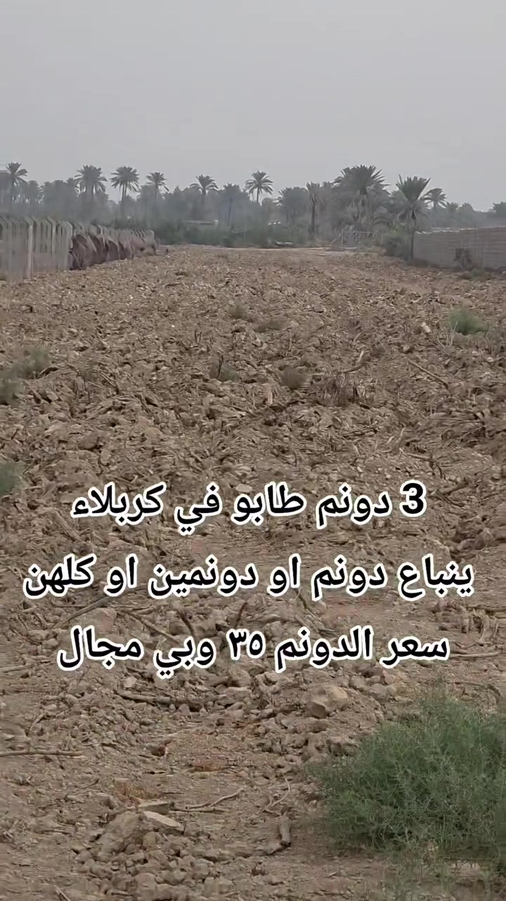 ٣ دونم • طابو زراعي • سند ٢٥