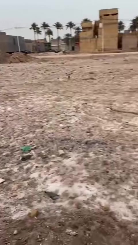 *********** مساحه 100 السعر 35 طابور زراعي 25
