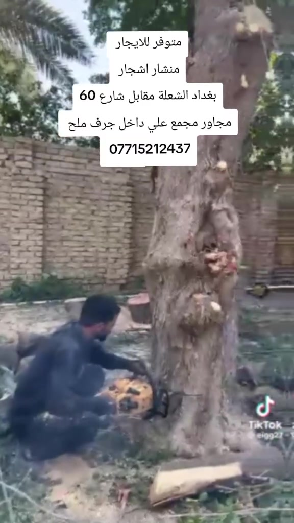 السلام عليكم 
شنو محتاج غراض سكله وبناء ومعدات 
موجود عندي ايجار وأسعار مناسبة 
توصيل غزالية وشعلة ومناطق مجاورة 
*********** سكله حسن الغراوي
