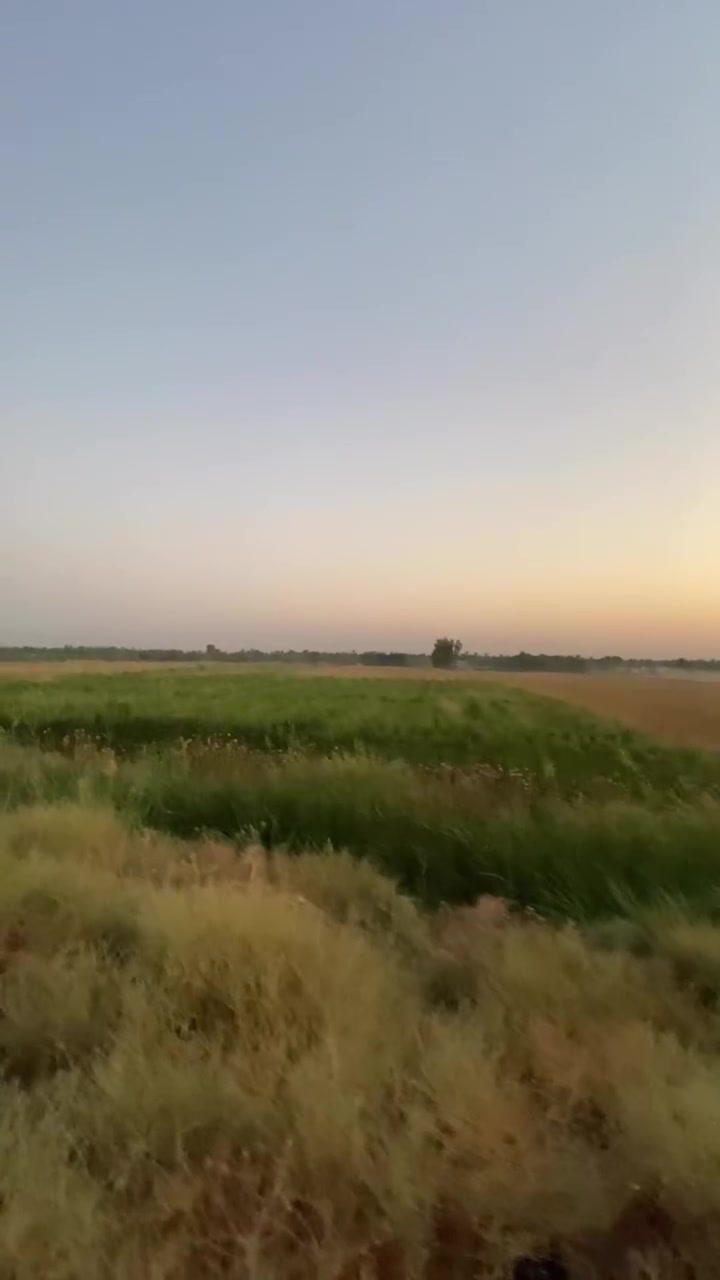 📍 للبيع أرض مميزة في محافظة ديالى – منصورية الشط
🔹 المساحة: 4 دونم
🔹 الطابو: كل 2 دونم بسند طابو رقم (25)
🔹 الموقع: منصورية الشط – طريق بغداد القديم
🔹 الموقع المميز: مقابل مضيف الشيخ علي عبد المهدي الشمري (أبو فاضل)

🌱 الأرض متعددة الاستخدامات ومناسبة لـ:

* 🏠 البناء والسكن
* 🌾 الزراعة
* 🐔 إنشاء حقول الدواجن
* 🐄 تربية الأبقار والمشاريع الحيوانية

✅ الأرض مقابل طريق مُبلّط
💧 يتوفر ماء
⚡ يتوفر كهرباء

💰 للاستفسار عن السعر والتفاصيل ومعاينة الأرض:
📞 الاتصال على رقم الهاتف الموجود أسفل الفيديو 
***********

📌 موقع مميز وفرصة مناسبة للسكن أو الاستثمار الزراعي والحيواني.
