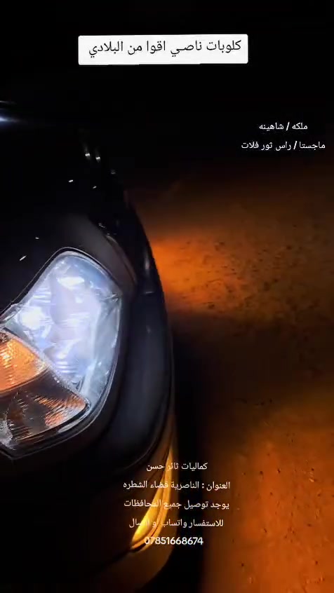 زنون • 9005/H7 • ثلجي