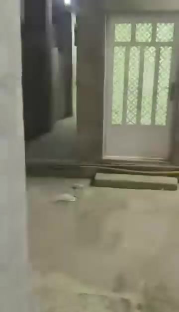 الفلوجة • حي الرسالة • ٤غرف