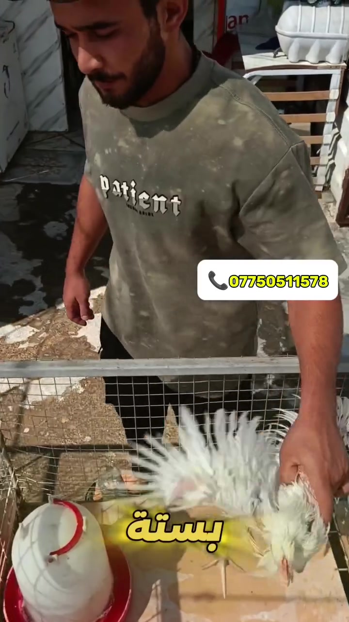 🔥🐔 فروج المصطفى 🐔🔥

👀 انتظروا المفاجأة…
قريباً جداً 🔥 Soon ⏳🤫

✨ وعروض اليوم مستمرة من فروج المصطفى ✨
طعم لذيذ وعروض تخليكم ما تفوّتونها 😍🔥

📞 للطلب والاستفسار: ***********

📍 العنوان: النهروان – الشارع العام، قرب شارع ستين

🔥 فروج المصطفى… المفاجأة تستاهل الانتظار! 🔥
