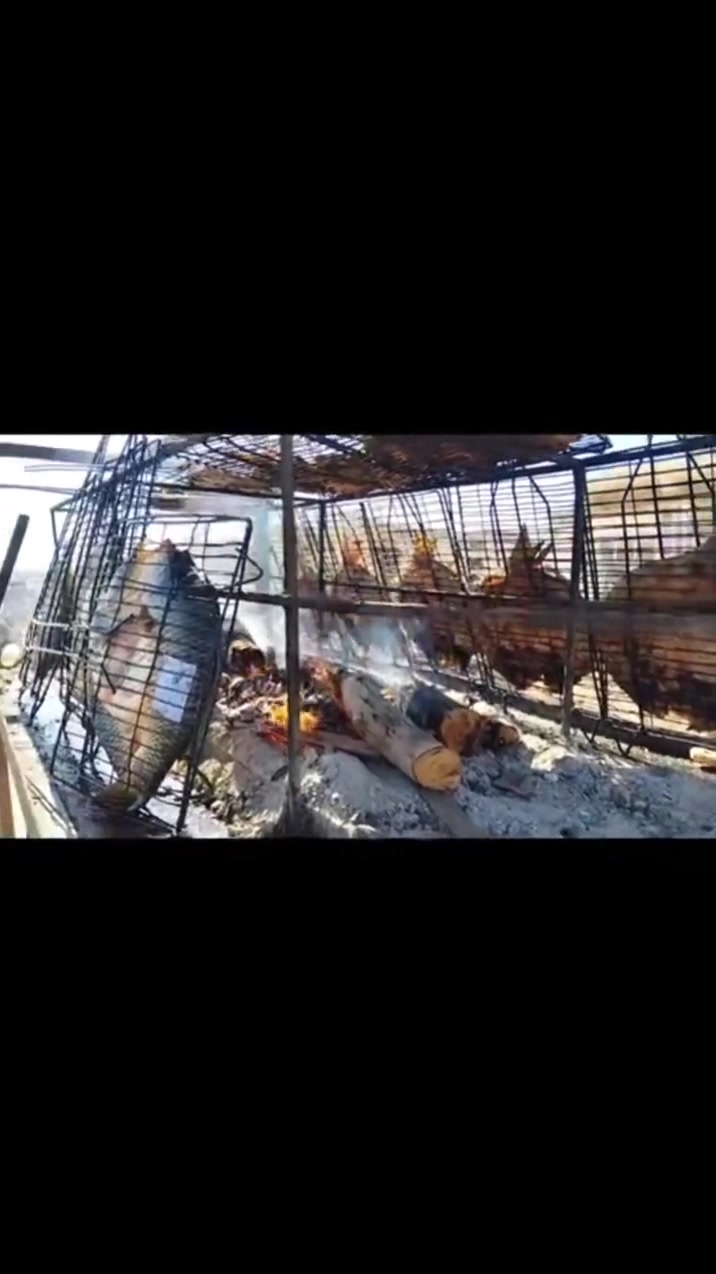 سلام عليكم مثل ماتشاهدون سمك اقفاص جميع اوزان موجودة مكان العمل شارع كركوك مجاور ابومنتضر للقيمة النجفية @ الحجز مفتوح يوجد توصيل ***********
