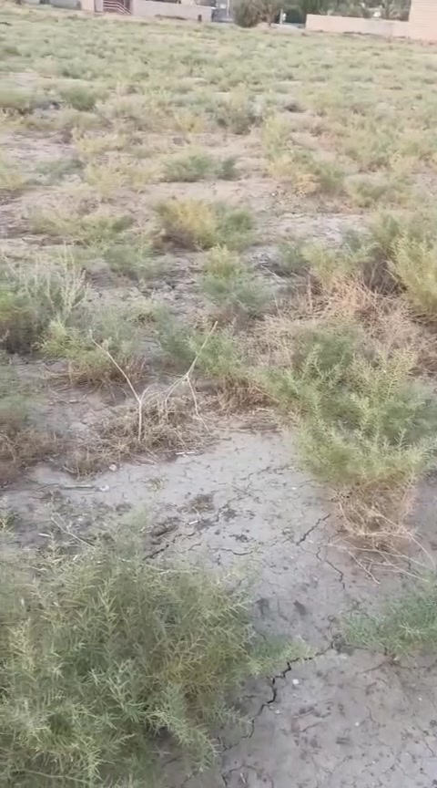 هاتف *********** اتصال او وتساب
سند الارض زراعي موقع الارض بغداد التاجي قريه جرف الملح
