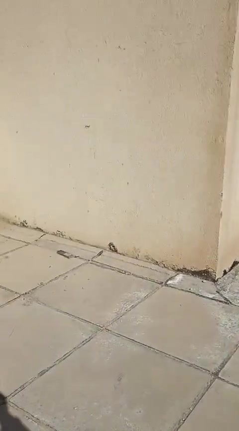 حي الخلاص • ١٠٠م • طابو زراعي