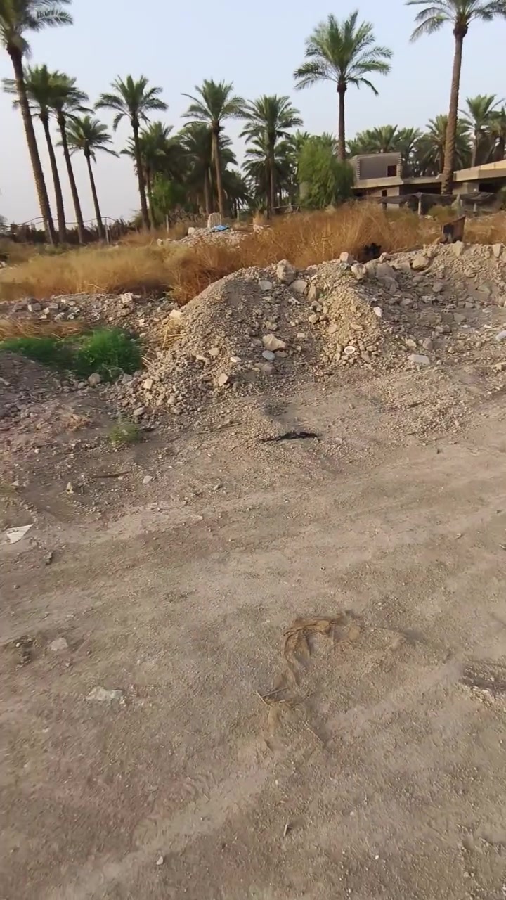 سند ٢٥ • ٥٢٥م • المحمودية
