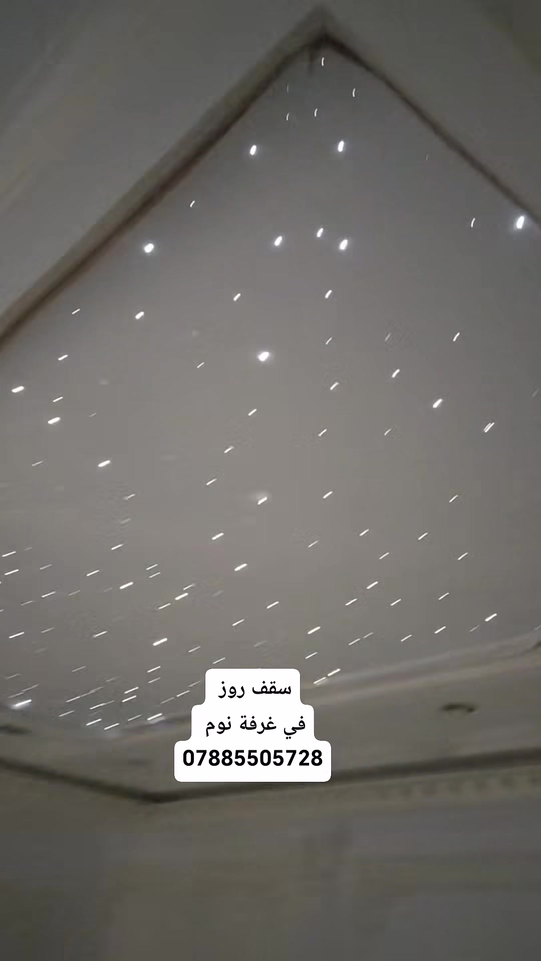 أنوار الدورة
