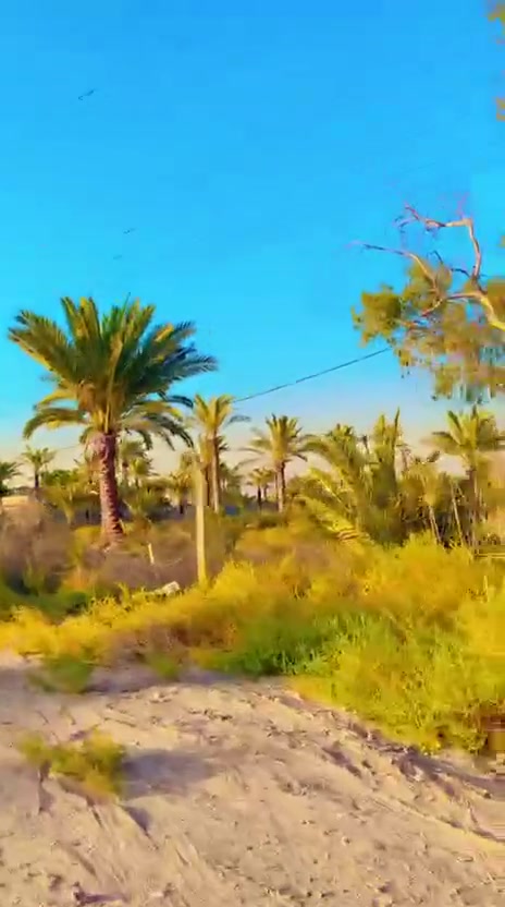 ١٠ دونم 5 بسند و5 بسند  بسم  ملك صرف بستان الارض متروكه بيها بيت مجاز موقع الارض بغداد الرضوانيه اسم المقاطعه ١١ ابو معالف قرب حي الشرطه الخامسه 5 دقائق عن البياع 10 دقائق عن المنصور سعر الدونم ٢٥٠ مليون تباع كامل المساحه او 5 واجهت الارض ٨٠ متر بضبط *********** واتساب
