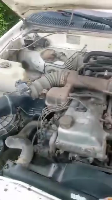 السلام عليكم 
تيوتاء  جمره جي ال 2005 محرك مجفت جديد مبدل بيها بنيد فقط 
عندي بيها وكاله عامه تحويل مباشر 
سيارة خير من الله مال جناي
عنوان بابل الحمزه الغربي
الشراي يتصل ***********
