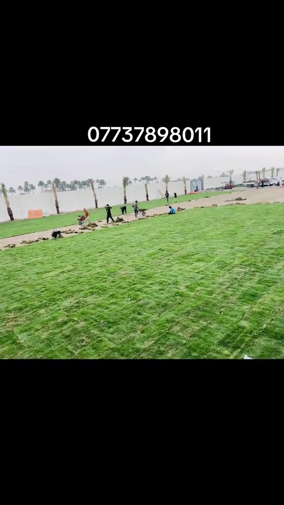بستنة • خدمات • رقم بالصورة