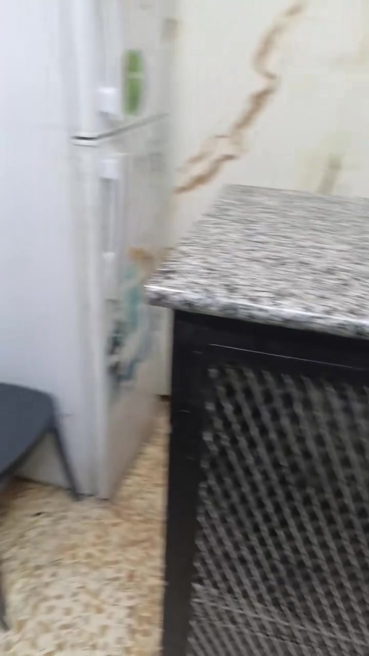 السلام عليكم
عندي غراض مطعم كامله ابيعهن شلع كلهن
1-ثلاجه 
2-مثرامه لحم او حمص
3- قلايه زنجر وفنگر
4-ميز استقبال كبير 
5- ميز طعام و خمس كراسي
6- طباخ برگر وطاوتين يعني 3 كوزانات
7-مفرغه عاديه وصاروخيه
8 غراض مثل السكاكين والبلانكات وبقيه النواعم
9-قنينه غاز 
10-تانكي ماء 
11- ماطور ماء
+ غراض مثل كاسات فنگر كراتين وجطلات سفري وبعض المسواك المتبقي هديه 

ماكاني بغداد الشعله
لل استفسار  ..  ***********
