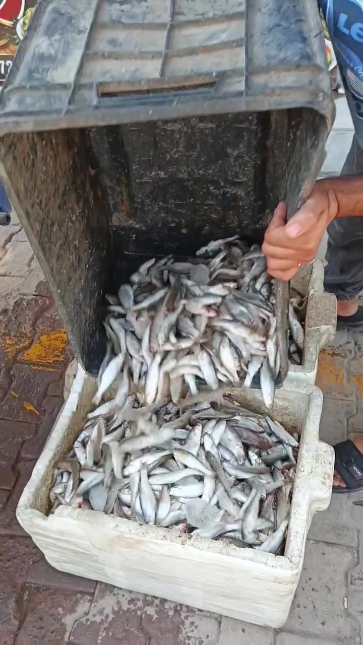 ب 5  الكيلو الحرش 
وسطانيه مال صيد                
الحجز مفتوح حاليا  
توصيل اكو
***********
*********** واتساب
العنوان الديوانية سوق العروبه مقابل صيدليه الغيث الفلكه النافوره طرشي رمانه قرب مأكولات المصلاوي
