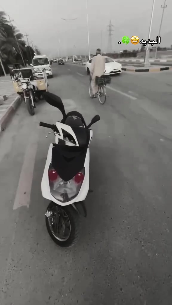 دراجه سكنس فحل نوزل للبيع السعر550وبيها مجال ***********واتساب
