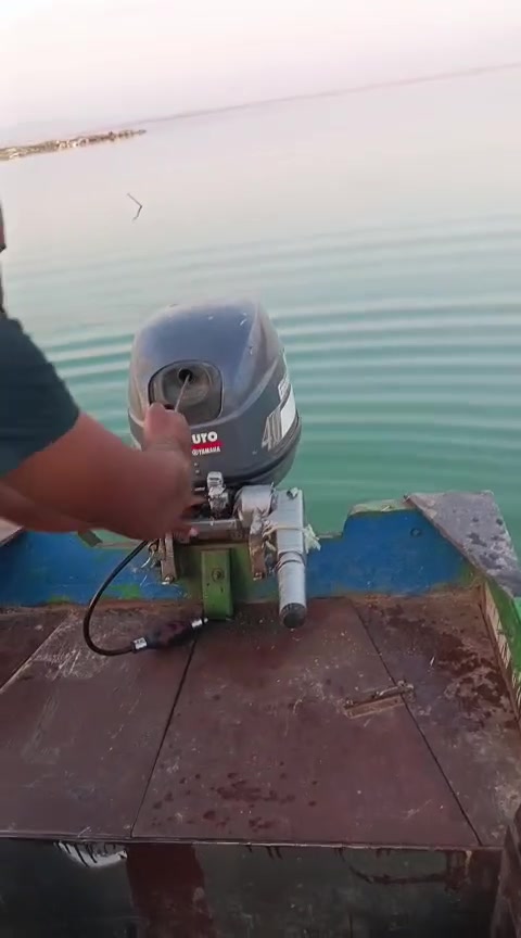 ***********
