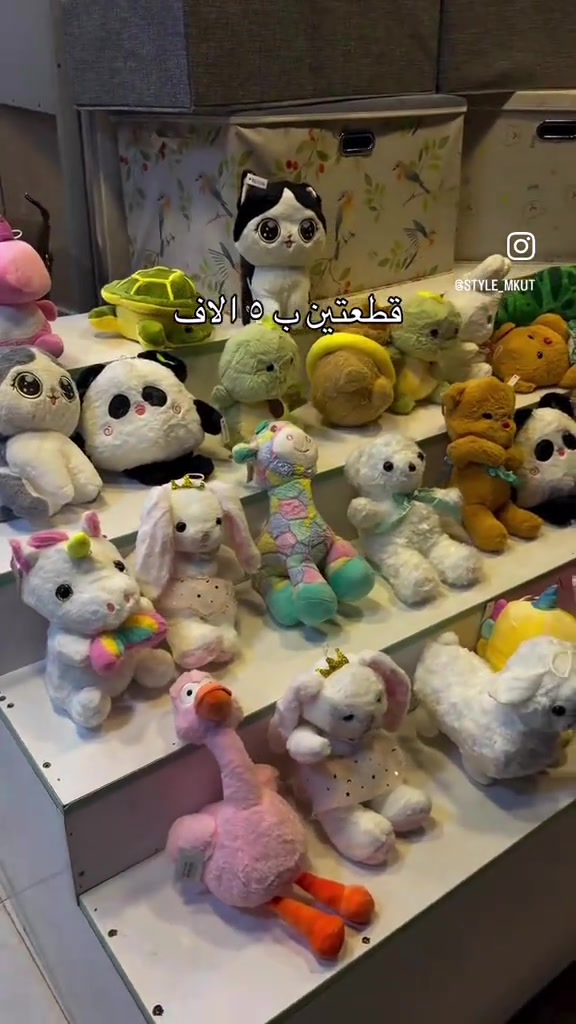 قطعتين • الكوت • STYLE_MKUT
