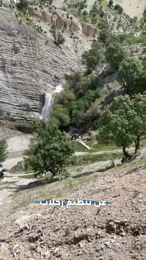 لا توجد تفاصيل
