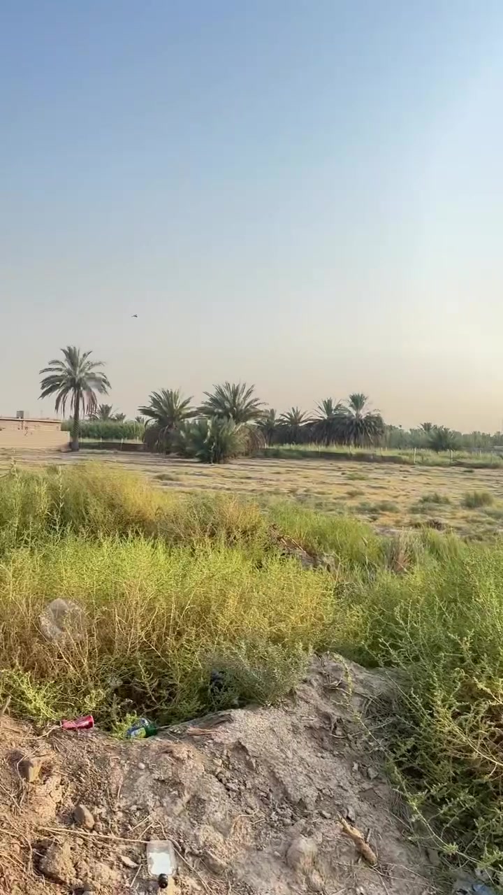 سلام عليكم دونمين طابو زراعي سند 25 للبيع العنوان المدائن منطقة الجعارة خدمات كاملة قريب عل شارع المدائن الاستفسار ***********
