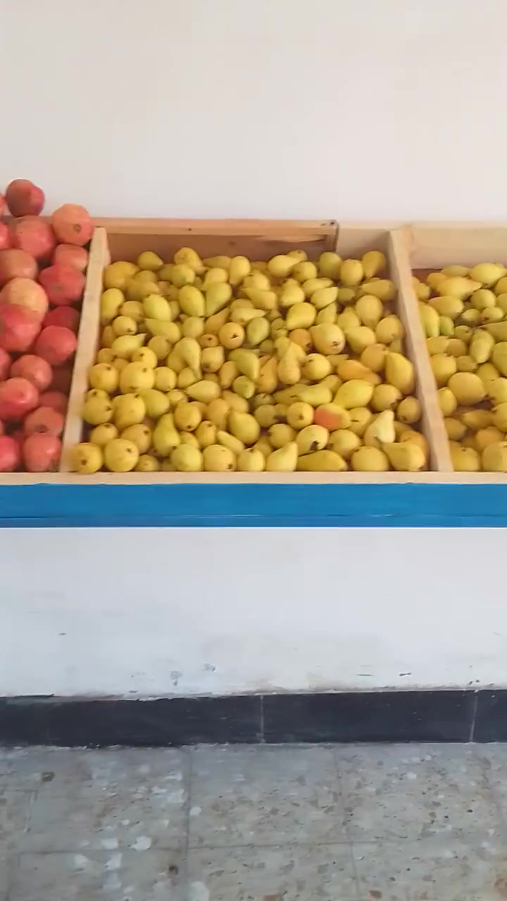علوه مخضر • بغداد الخضراء الدسيم • مدفوع الايجار
