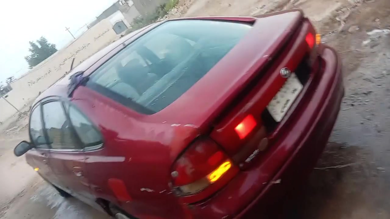 فاصوليه • ١٩٩٢ • واسط