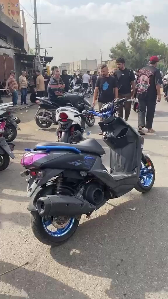 سكنس جبلي • ياباني • كفاله