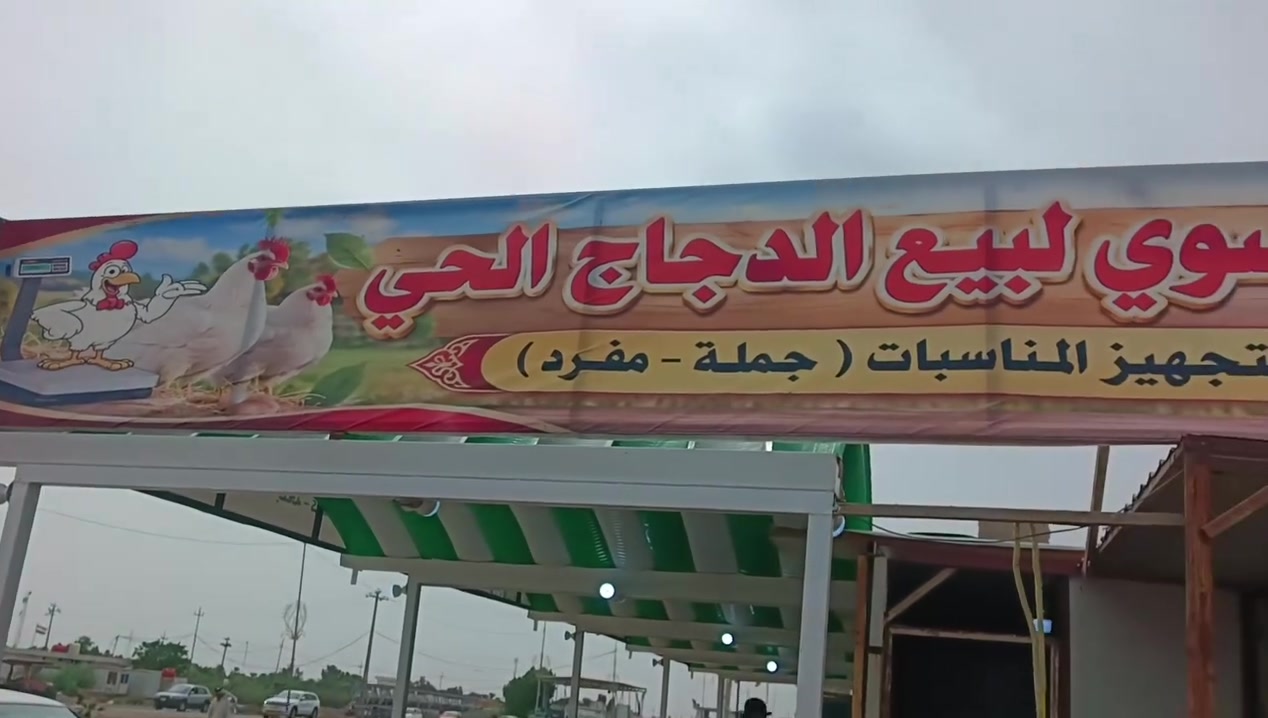 صدر • فخذ • توصيل