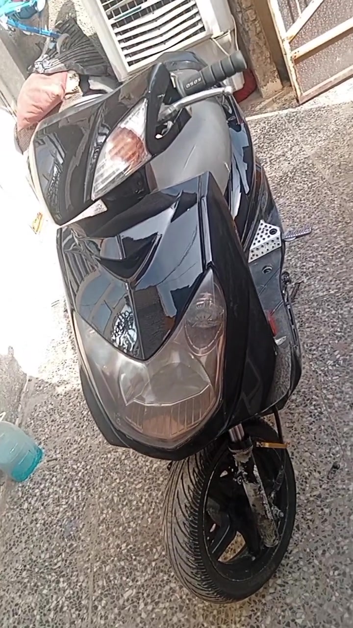 سكنس فحل • نوزول • كوري