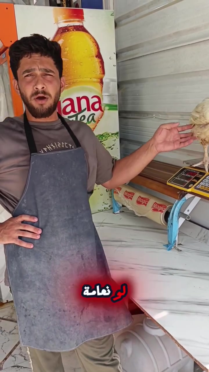 🐔🔥 فروج المصطفى.. الطعم اللي يجمع العائلة!
فروج طازج وشهي، جاهز حتى يكمّل سفرتكم بأطيب مذاق 😋🍗
تابعوا الفيديو وشوفوا الجودة بأنفسكم ❤️

📍 العنوان: النهروان، الشارع العام قرب شارع 60
📞 للطلب والاستفسار: ***********
