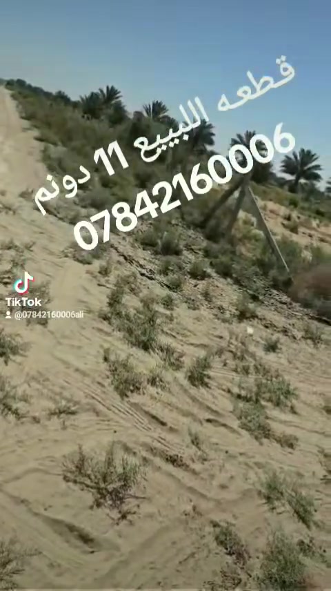 🏡 #قـــــطــعــة_للــبــيــع

📍 العنوان:الحلة – قريب بين العلوية الشريفة وبني اساله

📐 المساحة:11 دونم

📏 النزال:450 م

🛣️ الواجهة:77 متر

📄 الطابو:زراعي – سند 25

📄 الطابو:زراعي – سند 25🔹 إصلاح تقسيم أو زراعية، جاهزة للزراعة

📞 للاستفسار:#مكتب_علي_التميمي_للعقارات

📱 التواصل عبر الواتساب أو الاتصال:***********

🔹 نستقبل جميع العروض العقارية:#بيع #إيجار #دار #هيكل #قطعة #بستان #مزرعة #مصرف #دار_أقساط #مطلوب

📩 أرسل تفاصيل عقارك وصوره، وسنقوم بنشره بأفضل شكل.
