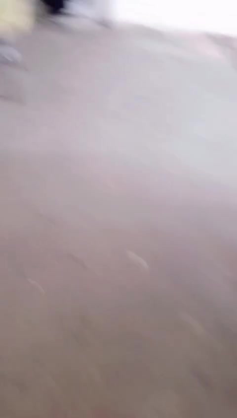 ٥ غرف • كراج سيارتين • يحتاج ترميم