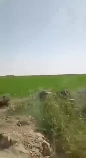 طابو زراعي • نهر الفرات • ٣٠-١٠٠٠ دونم