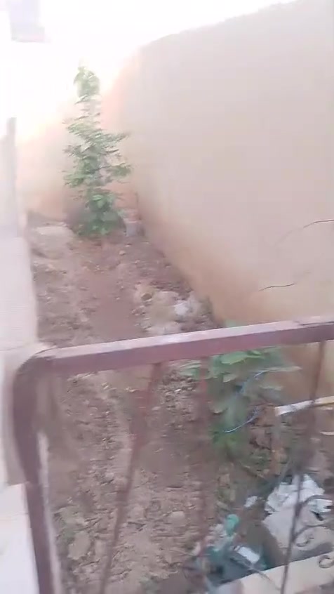 مشتمل لبيع مساحه 125مربع قاطين عنوان ديالى بعقوبة شمالي باب درب خلف اسواق ابو زهراء طابو صرف بسمي عير موجود على فيس شراي يتصل ***********
مشتمل لبيع مساحه 125مربع قاطين عنوان ديالى بعقوبة شمالي باب درب خلف اسواق ابو زهراء طابو صرف بسمي عير موجود على فيس شراي يتصل ***********

مشتمل لبيع مساحه 125مربع قاطين عنوان ديالى بعقوبة شمالي باب درب خلف اسواق ابو زهراء طابو صرف بسمي عير موجود على فيس شراي يتصل ***********
