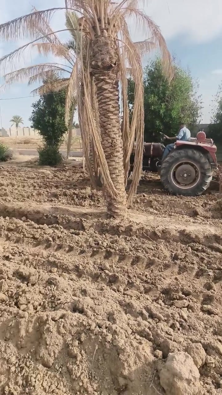 السلام عليكم مزرعه للبيع عل شارع النهر مباشر ومخدومه وكاع حلوه خلف المطحنة  وماء وكهرباء وجميع خدمات وتبليط فارشين سبيس وطابوووطابووو ٢٥باسمي مباشرة احوله باسمك تصلح منتجع او مكان ترفيهي راح يبلطون وكاع كلش حلوه متوازي كلش عل بيع جوه السوك*********** تريد نص دونم تريد دونم كله

نص مكتوب في الصور:
- ضبط عنوان المنزل المطاعم الفنادق وق طريق الرشدية دبوس مثبت سعد نايف ابو حيدر اليساري مزارع ابو زياد مجمع سيدة نساء العالمين ع السكني موكب وحسينية أم البنين مطحنة الأبداع الاهليه Google Maps