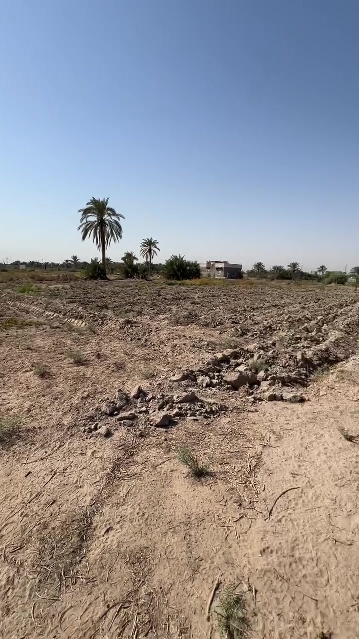 دونم طابو زراعي الواجه ٢٥ متر  النجف مناذره شارع الحصينات قريب ع شط موقع حلو ماء كهرباء كلشي موجود السعر ٣٥. او مراوس بيت ***********
