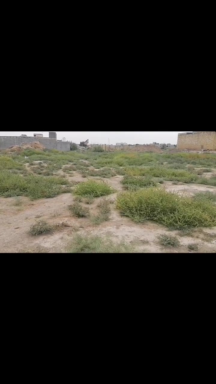 نص دونم • ٥٠٠م • للبيع