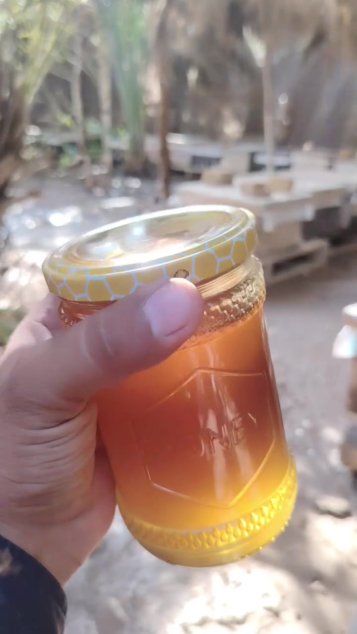 مناحل الرميثه • عسل البرسيم • علبة كبيره