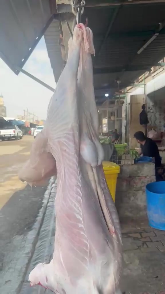 بسم الله وعلى بركة الله.
طلي ديره درجة اولى سعر الكيلو ١٧ ألف.
المكان التأميم سوق 8 شباط من يريد الشراء الإتصال على هذا الرقم.
*********** 
نسأل الله أن يرزق الجميع
