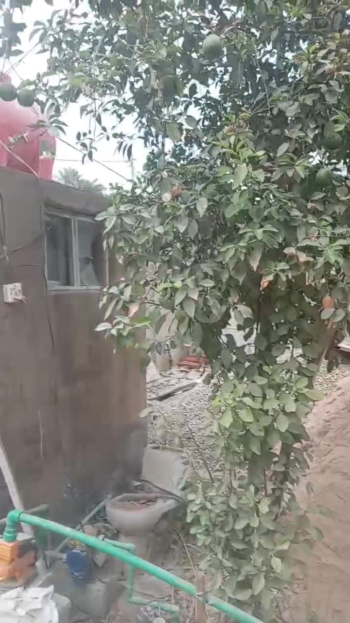 النجف البوحداري • ١٥٠م • واجهه ١٠م