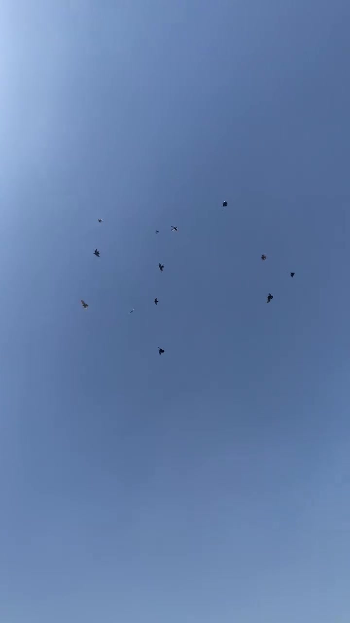 ١٥حمامه • قفل شلع • بغداد جديدة
