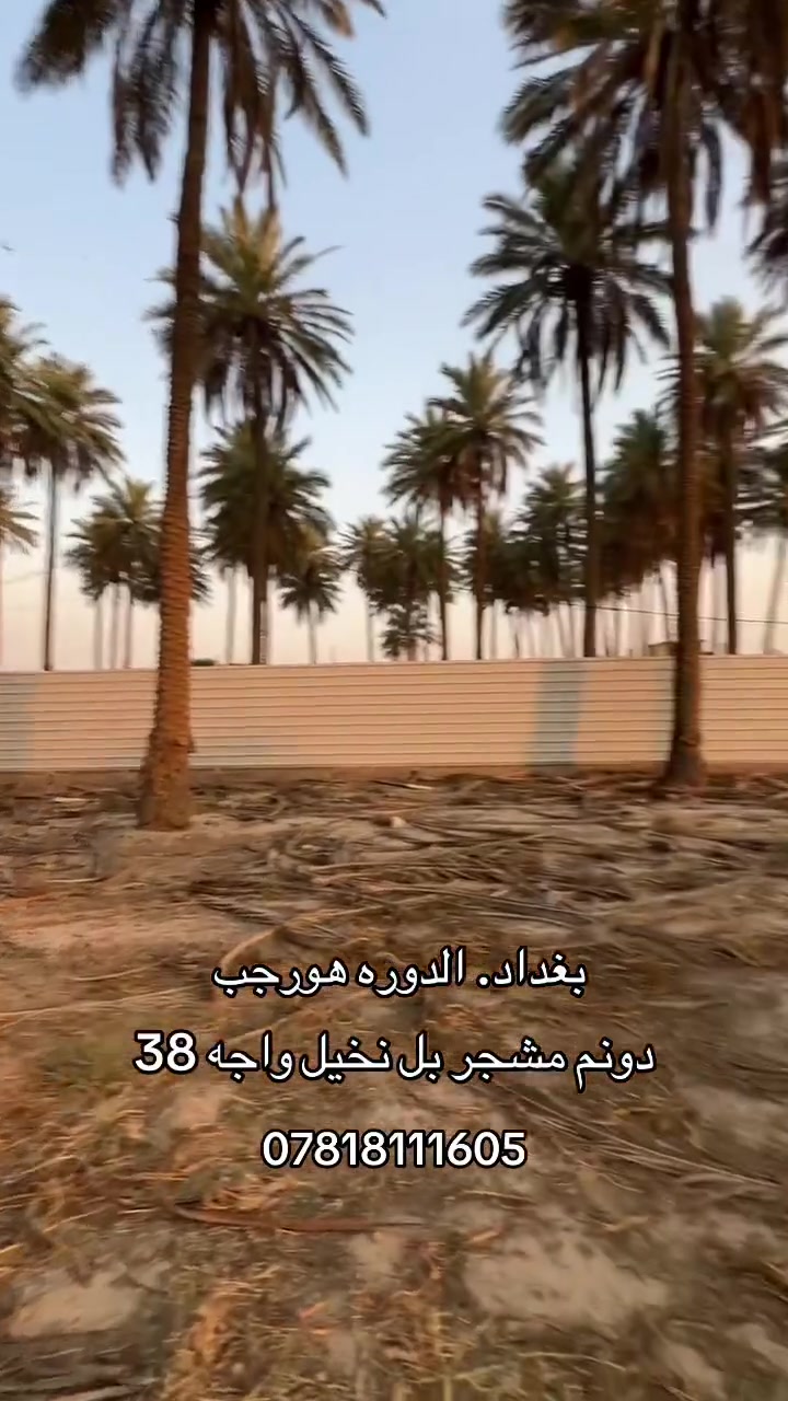 #*********** #الدوره _هورجب

