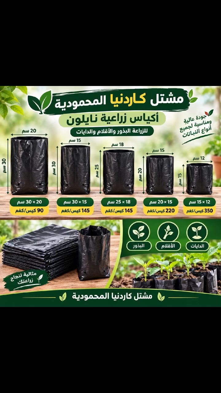 لا توجد تفاصيل
