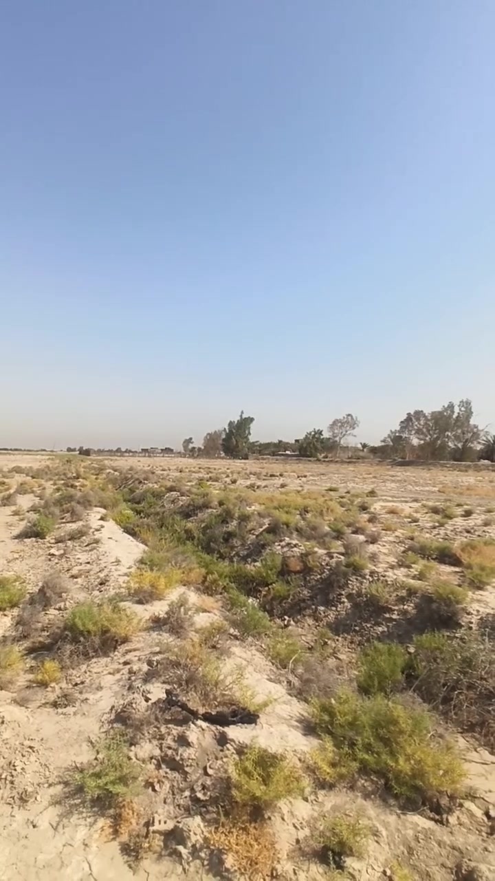 ارض زراعي • جملون حمزه الظاهر • ٣٠٠م
