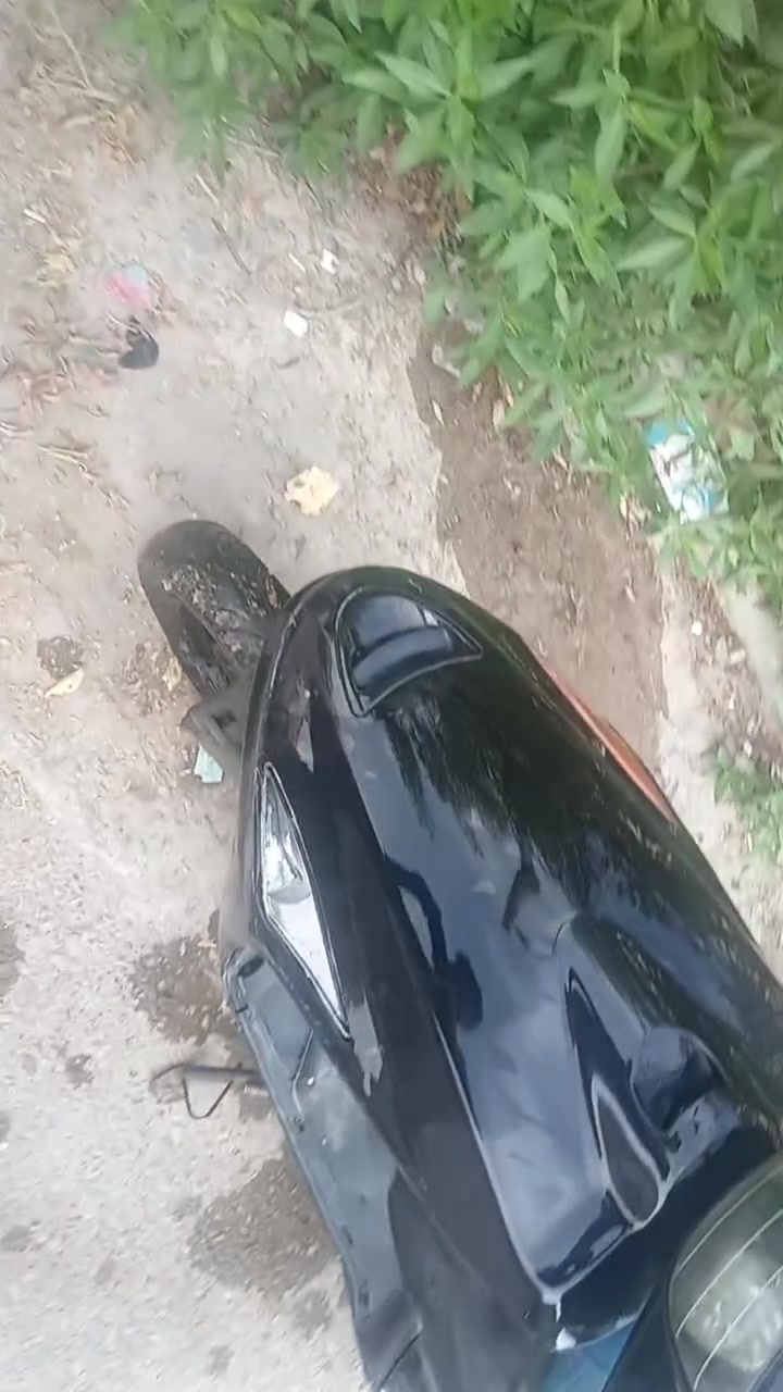 فراشه • أوراق • باسمي