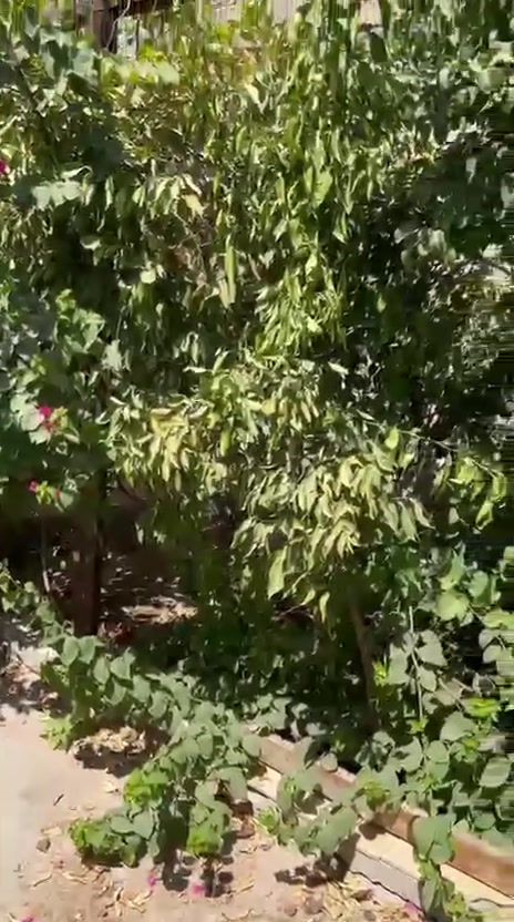 دار للبيع في حي المصطفى تابع حي البساتين يم السده بالزنجيل المساحه 50متكون من غرفه ومطبخ وحمام والاستقبال والصاله هيكل كامل الخدمات ماء مجاري وكهرباء ومولده هم بيه نت للاستفسار الاتصال على الرقم ***********
