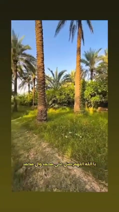 السلام عليكم ٥دونم طابو صرف بستان متكامل كما موضح بل الفيديو العنوان واسط بزل حلاته منطقة الشوفي قرب تاج الدين عليه السلام سعر الدونم الواحد ١٠٠ مليون قفل  غير قابله للجزء طابو صرف تبعد عن نهر دجله ٢٠ متر كافة الخدمات وجه الكاع ٢٥ متر والباقي نزال ***********    ***********

